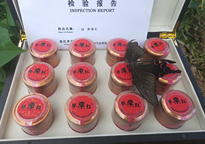 梦棠红礼盒系列